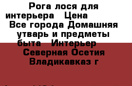 Рога лося для интерьера › Цена ­ 3 300 - Все города Домашняя утварь и предметы быта » Интерьер   . Северная Осетия,Владикавказ г.